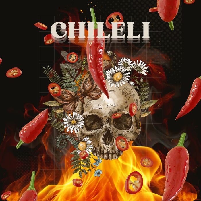 chileli-saltses