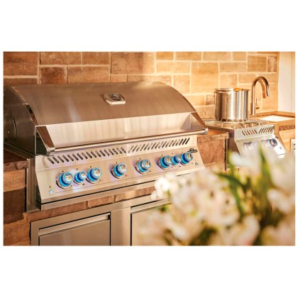 Napoleon Built-In Gas Grill 700 Series 44 RB