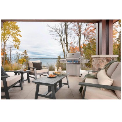 Napoleon Prestige Pro 500 Stainless Steel Natural Gas