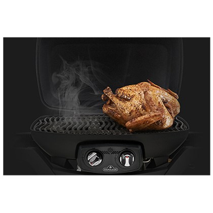 Napoleon TravelQ PRO285X Gas Grill