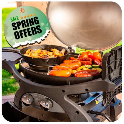 Pit Boss Portable Gas Grill Sportsman 2 Grey - 30mb, with manifold kit