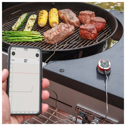 WEBER Thermometer iGrill-mini για κάθε ψησταριά