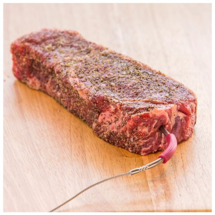 WEBER iGrill Pro Meat Probe