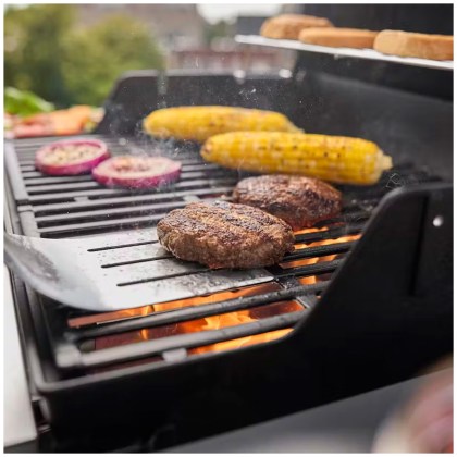 Weber® Gas Grill Spirit E-210