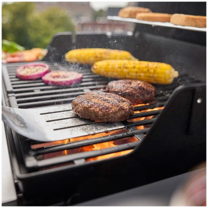 Weber® Gas Grill Spirit E-310