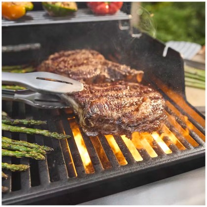 Weber® Gas Grill Spirit EP-435