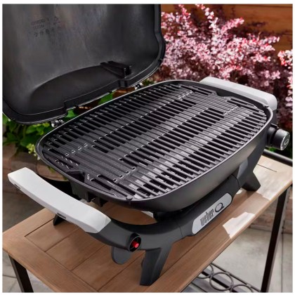 Weber® Q Gas Grill 2100N